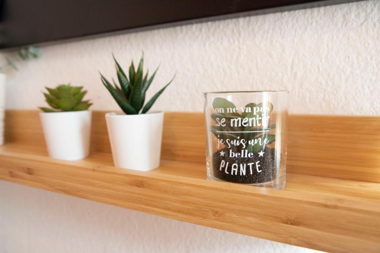 Green Appart Le Chene Rouge Avec Jardin Prive Διαμέρισμα Μυλούζη Εξωτερικό φωτογραφία